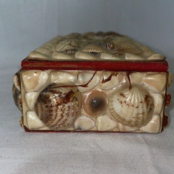 Shell Covered Small Box - Picture 7 of 9